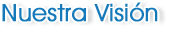 Visión